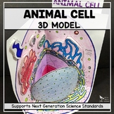Cell Model  - Animal Cell 3D