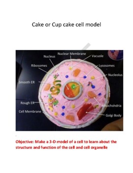 Preview of Cell Model Cup Cake Model STEM lab