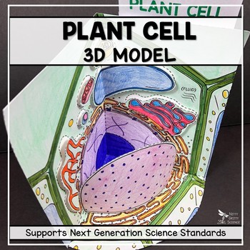 Cell Model Plant Cell 3d By Nitty Gritty Science Tpt