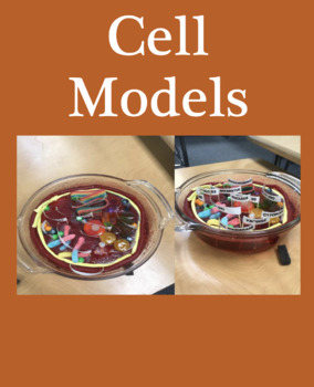 Preview of Cell Models
