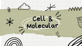 Cell & Molecular Biology Series: Part 2