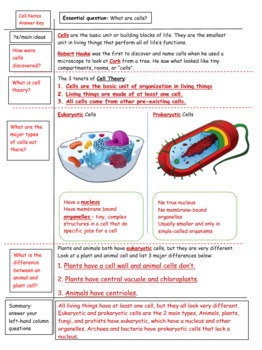 Cell Notes - Cornell Notes Style