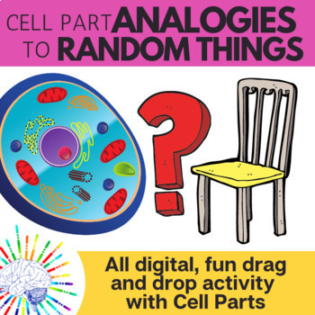 Preview of Cell Organelle Activity - Making Analogies to Random Things