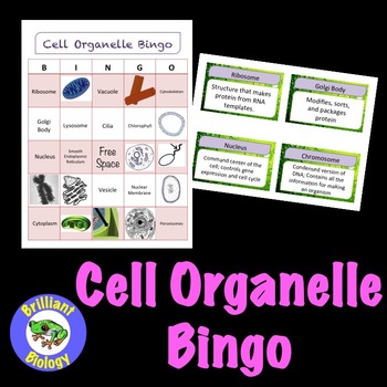 Preview of Cell Organelle Bingo Activity