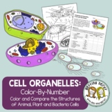 Cell Organelle - Color by Number Activity
