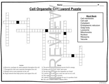 Cell Organelle Crossword Puzzle for Middle School Science by HD Science