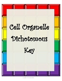 Cell Organelle Dichotomous Key- 8th Grade STAAR Review on 