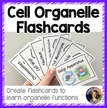 Preview of Cell Organelle Flashcards