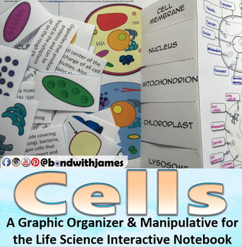 Preview of Cells: Graphic Organizer and Manipulative for Interactive Notebooks