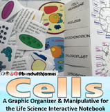 Cells: Graphic Organizer and Manipulative for Interactive 