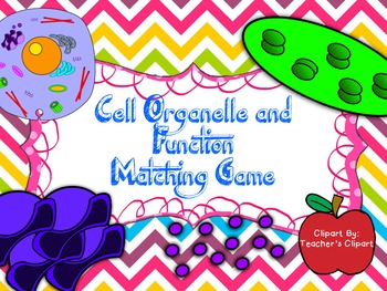 Preview of Cell Organelle Memory Matching Game