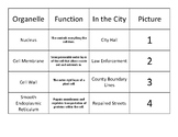 Cell Organelle Matching and City Analogy