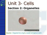 Cell Organelle Notes (PPT)