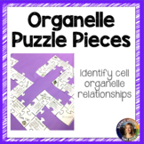 Cell Organelle Puzzle Pieces