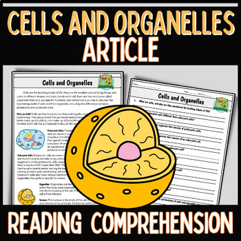 Preview of Cell Organelle Reading Comprehension Questions