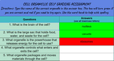 Cell Organelle Self Grading Assignment