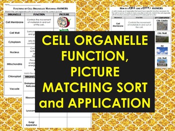 Preview of Cell Organelle Sort Cut & Paste w/ Cell City Application Sort- Differentiated!