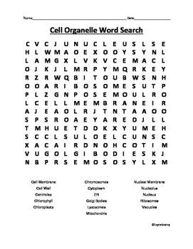 Preview of Cell Organelle Word Search
