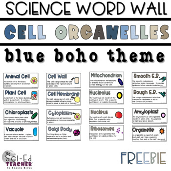 Preview of Cell Organelle Word Wall