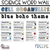 Cell Organelle Word Wall