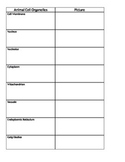 Cell Organelle flipchart