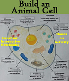 Animal Cell Organelles and Function Poster (Cell Structure