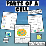Cell Organelles Activity for Special Education - Labelling