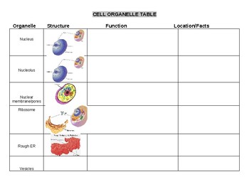 Preview of Cell Organelles Blank Notes Chart