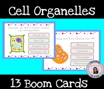 Preview of Cell Organelles Boom Cards Digital Resource Card Sort Task Cards