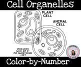 Cell Organelles Color-by-number Animal and Plant Cells