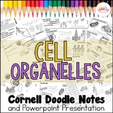 Cell Organelles Cornell Doodle Notes City Analogy with PowerPoint