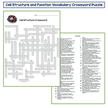Cell Organelles Crossword Puzzle by Amy Brown Science | TPT