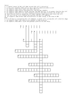 Cell Organelle Crossword Puzzle Worksheets Teaching Resources Tpt