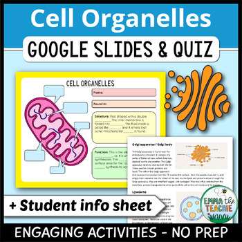 Preview of Cell Organelles Google Slides Activities and Google Forms Quiz