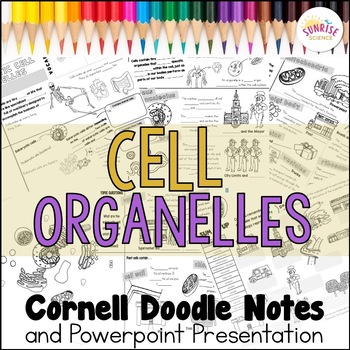 Preview of Cell Organelles Doodle Notes Animal and Plant Cells City Analogy