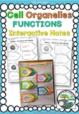 Cell Organelles FUNCTIONS - Interactive Notes