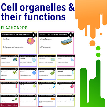 Preview of Cell Organelles Flashcards: Master Cellular Biology Essentials!