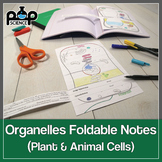 Cell Organelles Foldables: Exploring Plant & Animal Cell Structure & Function