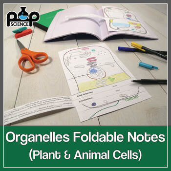 Preview of Cell Organelles Foldables: Exploring Plant & Animal Cell Structure & Function