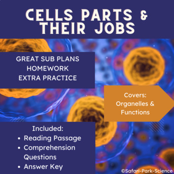 Preview of Cell Organelles & Functions Reading Comprehension & Questions