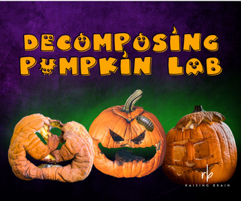 Preview of Pumpkin Jack Decomposing Pumpkin  Observation Sheet - Halloween Science Activity