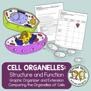 Preview of Cell Organelle Structure & Function Graphic Organizer