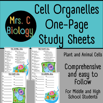 Preview of Cell Organelles One-Page Study Sheets and Worksheets