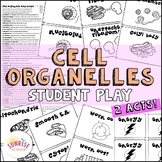 Cell Organelles Play : Functions of an Animal Cell