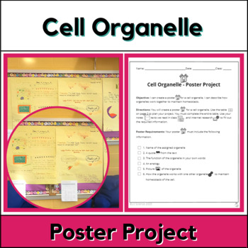 Preview of Cell Organelles - Poster Project Worksheets - Differentiated and Scaffolded