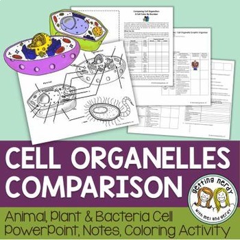 Preview of Plant, Animal, & Bacteria Cells Comparison - PowerPoint, Notes and Activity