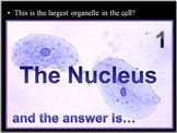 Cell Organelles Quiz Game