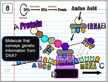 Cell Organelles Quiz Game by Science from Murf LLC | TpT