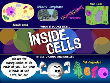 Cell Organelles PowerPoint & Video: FULLY LOADED by Ace Up Your Sleeve
