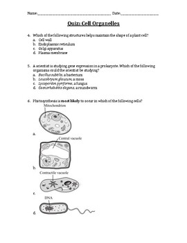 Quiz: Cell Organelles by Biology with Ms D | Teachers Pay Teachers